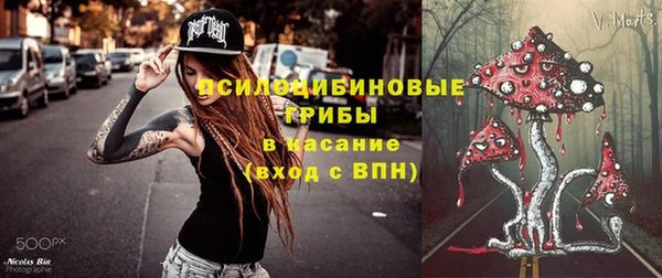 хмурый Нязепетровск